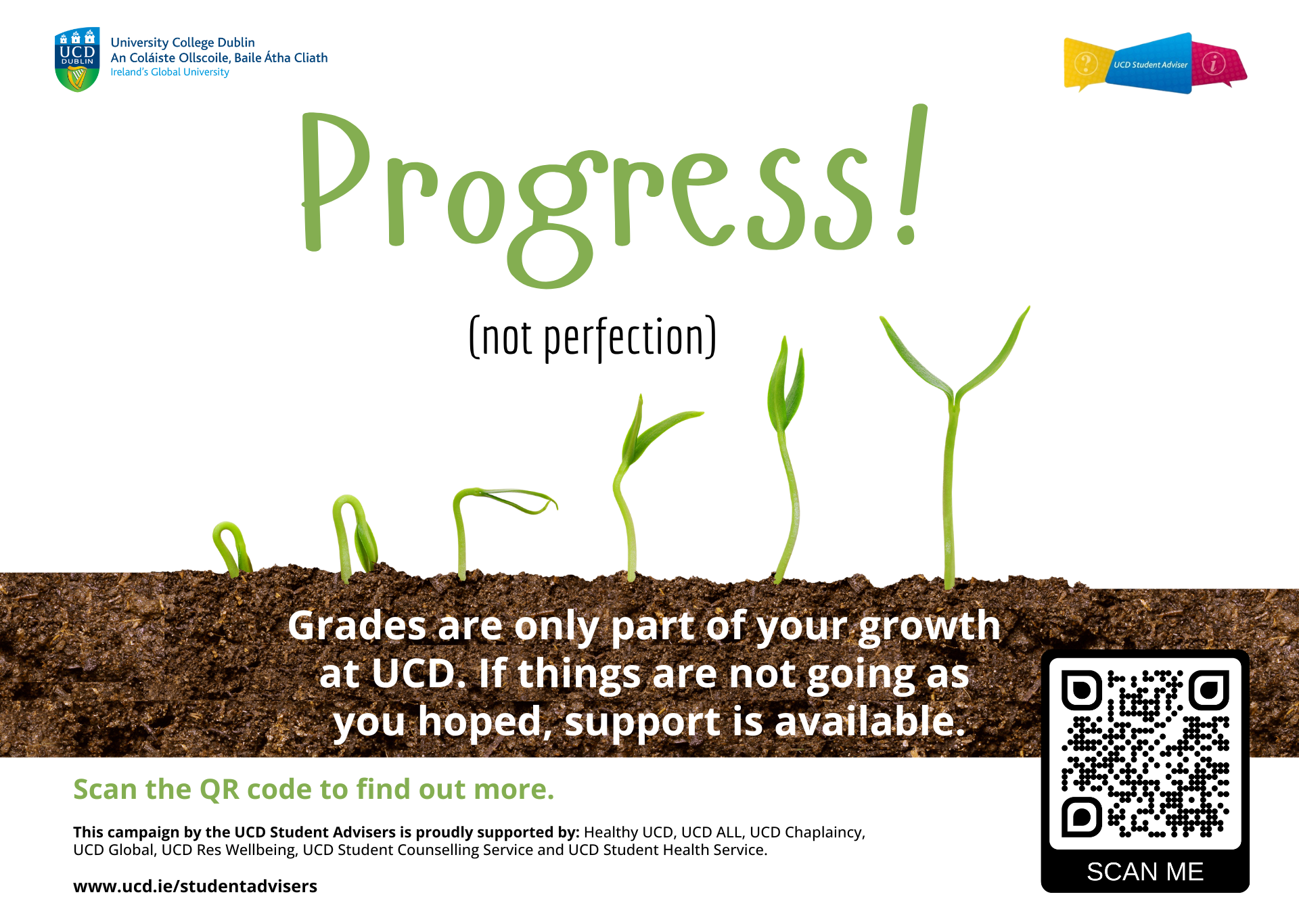 Progress, Not Perfection